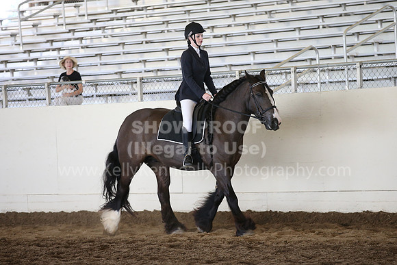 MLMH_2018_5325