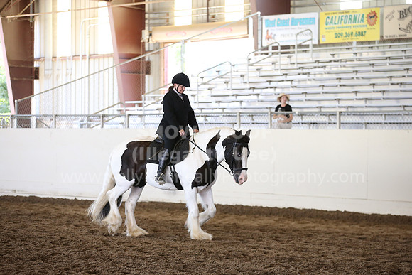 MLMH_2018_5333