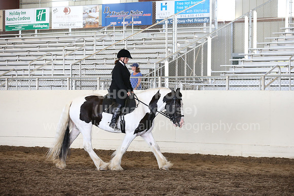 MLMH_2018_5335