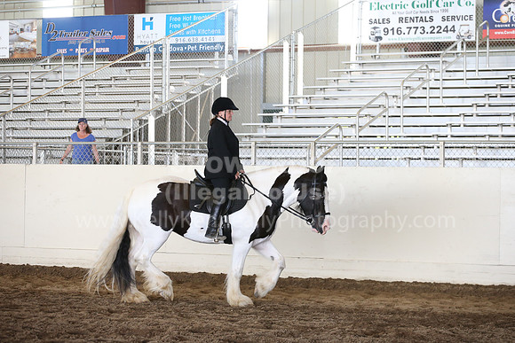 MLMH_2018_5336