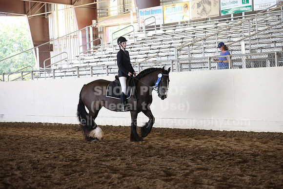 MLMH_2018_5340