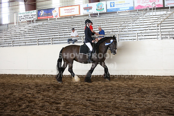 MLMH_2018_5342