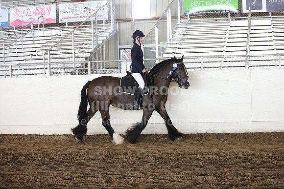 MLMH_2018_5343
