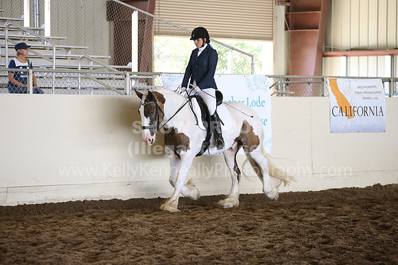 MLMH_2018_5403