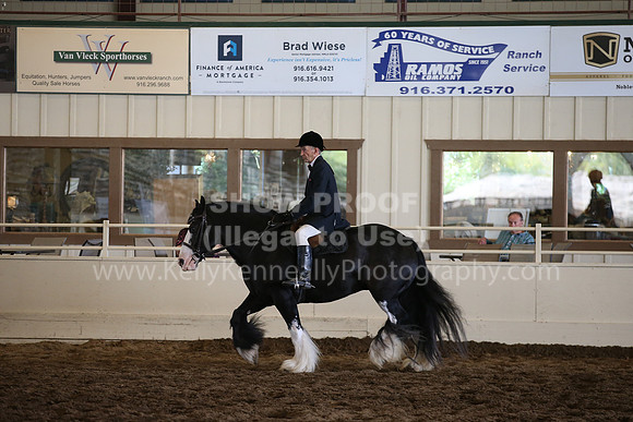 MLMH_2018_5406
