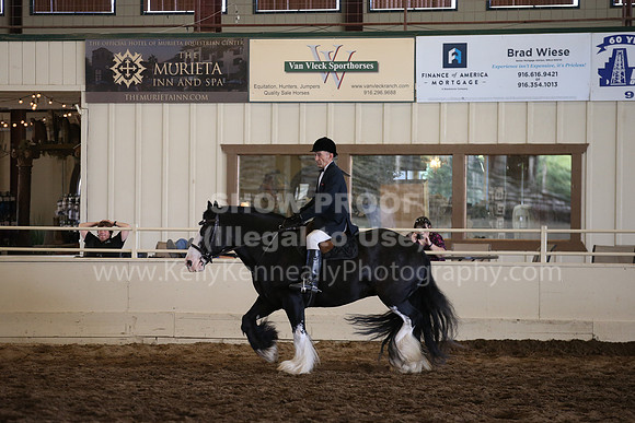 MLMH_2018_5407