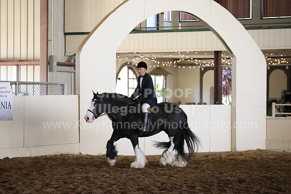 MLMH_2018_5409