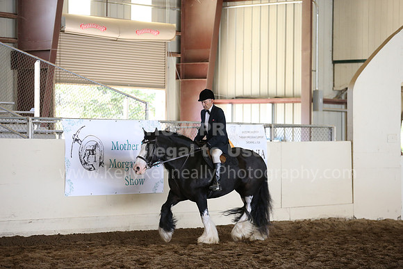 MLMH_2018_5410