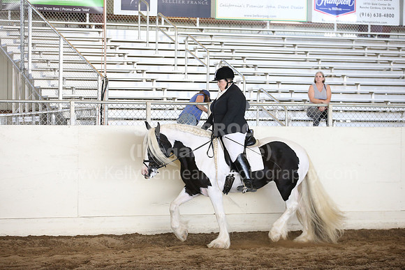 MLMH_2018_5420