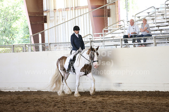 MLMH_2018_5424