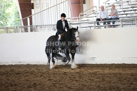 MLMH_2018_5434