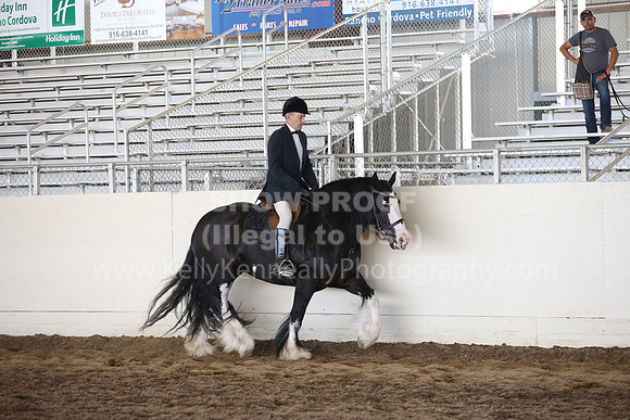 MLMH_2018_5438