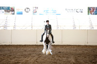 MLMH_2018_5491