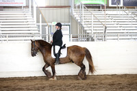 MLMH_2018_5676