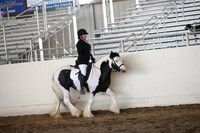 MLMH_2018_5701