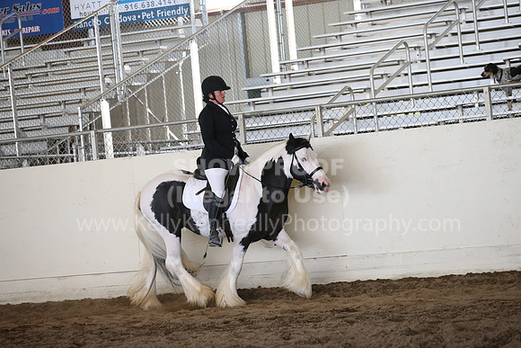 MLMH_2018_5701