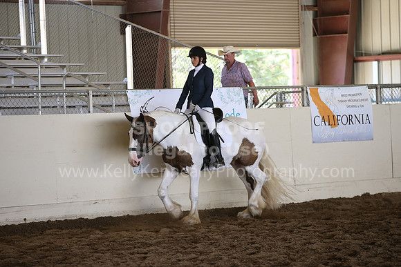 MLMH_2018_5731