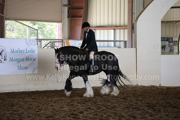 MLMH_2018_5732
