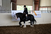 MLMH_2018_5733