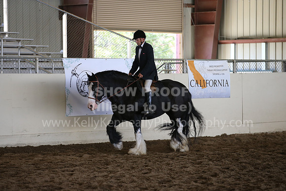 MLMH_2018_5733