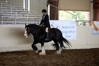 MLMH_2018_5734