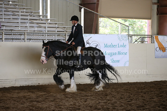 MLMH_2018_5734