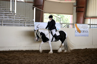 MLMH_2018_5737