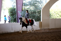 MLMH_2018_5779