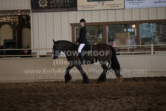 MLMH_2018_5780