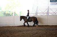 MLMH_2018_5788