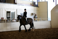 MLMH_2018_5791