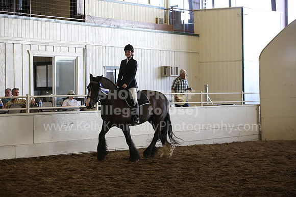 MLMH_2018_5791