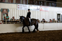 MLMH_2018_5792