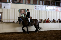 MLMH_2018_5793