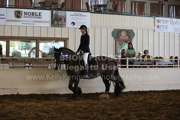 MLMH_2018_5794