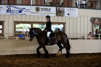 MLMH_2018_5795