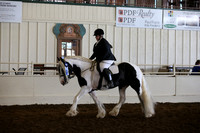 MLMH_2018_5867