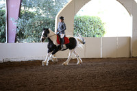 Class 194  Gypsy English Pleasure WTC JR/AM