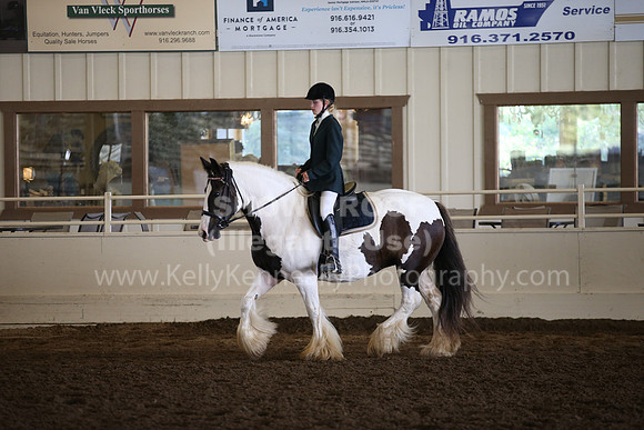MLMH_2018_5956