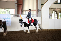MLMH_2018_5959
