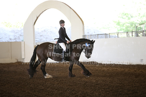 MLMH_2018_5963