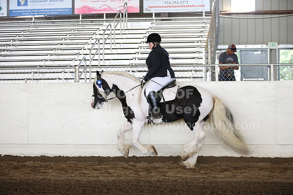 MLMH_2018_6049