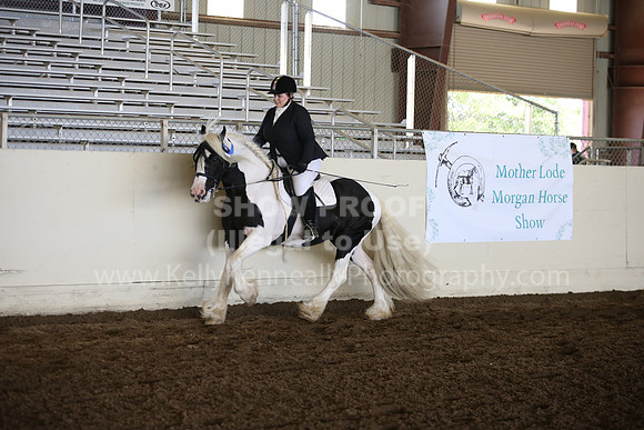 MLMH_2018_6039