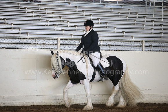 MLMH_2018_6036