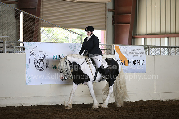 MLMH_2018_6033