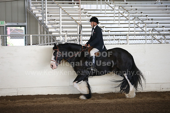 MLMH_2018_6030
