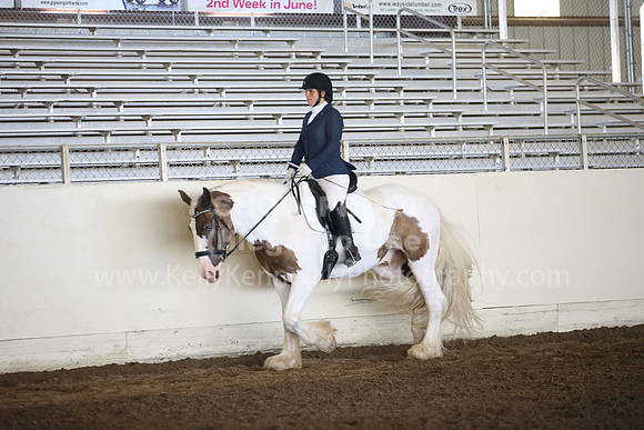MLMH_2018_6028