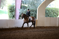 MLMH_2018_6154