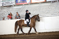 MLMH_2018_6159