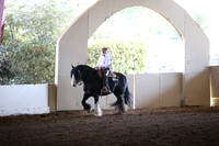 MLMH_2018_6776